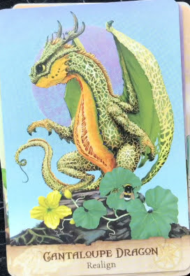 Field Guide to Garden Dragons